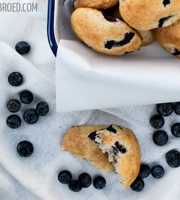 Heidelbeer-Joghurt-Cookies, saftige und fluffige Riesencookies / Blueberry joghurt cookies, juicy but fluffy giant cookies [wienerbroed.com]