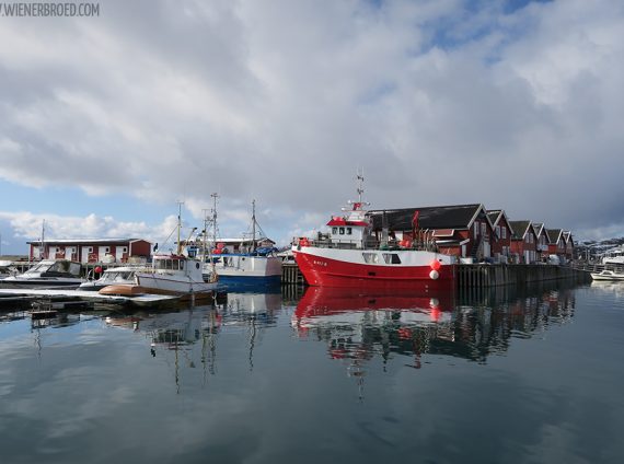 Auf in den hohen Norden! {Norwegen}