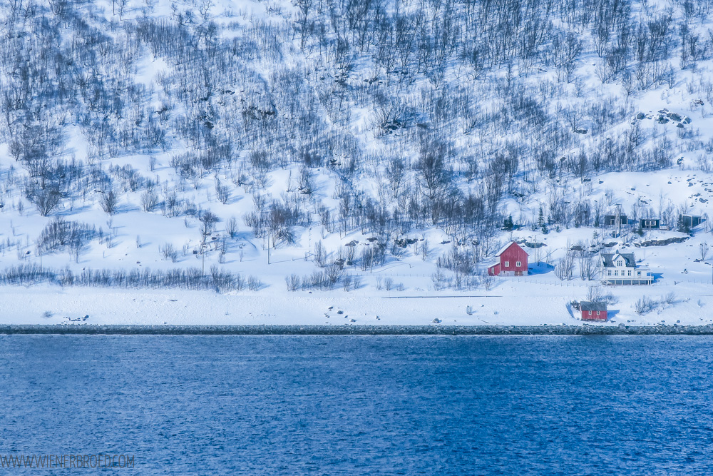 Mit der AIDAcara im Winter in Norwegen auf der Reise "Winter im hohen Norden" – EinStreifzug durch Sortland und Trondheim [wienerbroed.com]