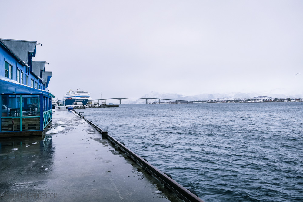 Mit der AIDAcara im Winter in Norwegen auf der Reise "Winter im hohen Norden" – EinStreifzug durch Sortland und Trondheim [wienerbroed.com]