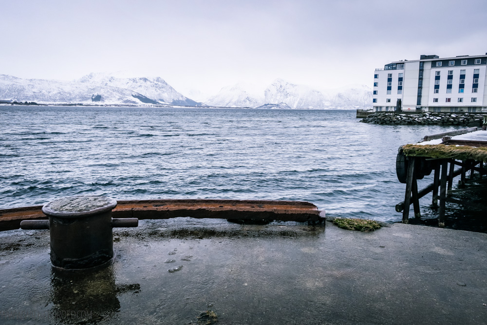 Mit der AIDAcara im Winter in Norwegen auf der Reise "Winter im hohen Norden" – Ein Streifzug durch Sortland und Trondheim [wienerbroed.com]