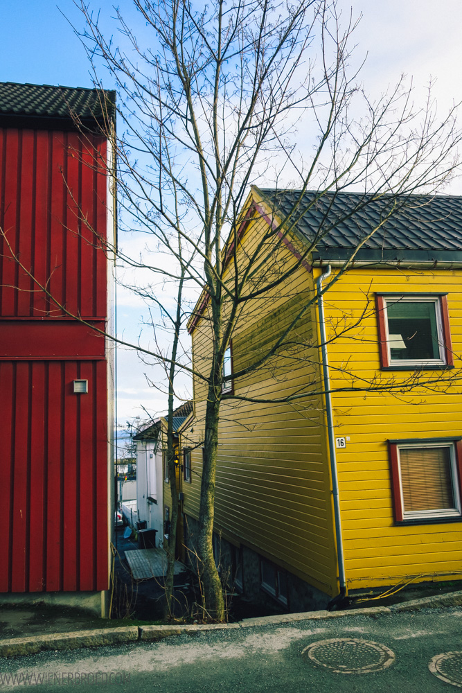 Mit der AIDAcara im Winter in Norwegen auf der Reise "Winter im hohen Norden" – EinStreifzug durch Sortland und Trondheim [wienerbroed.com]